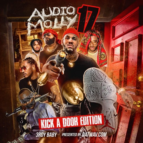 Audio Molly 17 (Kick A Door Edition)